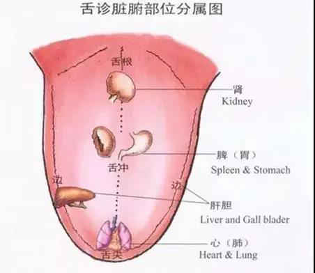 舌头发麻怎么回事